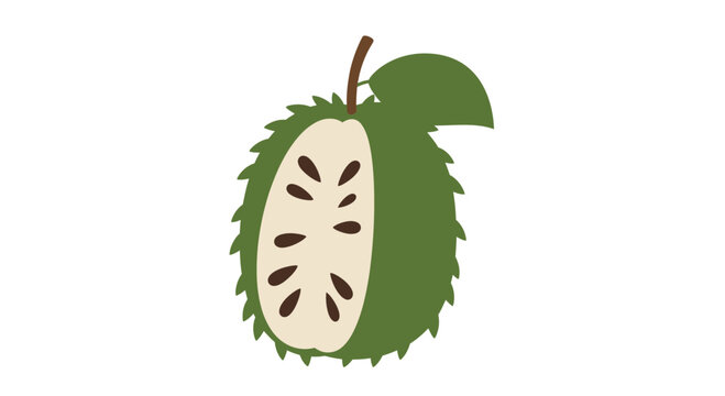 Freshly cut soursop fruit illustration isolated on white background