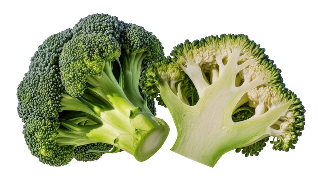 Fresh broccoli head cut in half showing florets and stem