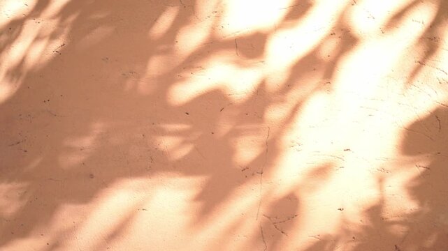 Orange wall background with moving shadows of leaves and foliage gently moving in the wind