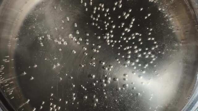 Water in stainless steel pot during the boiling close-up
