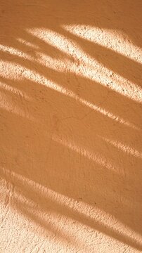 Orange wall background with moving shadows of leaves and foliage gently moving in the wind