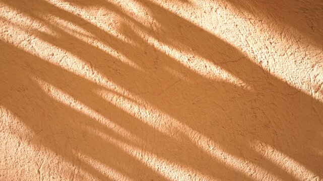 Orange wall background with moving shadows of leaves and foliage gently moving in the wind