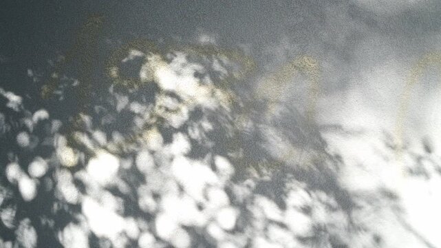 Gray-blue wall background with a shadow of foliage and leaves moving in the wind