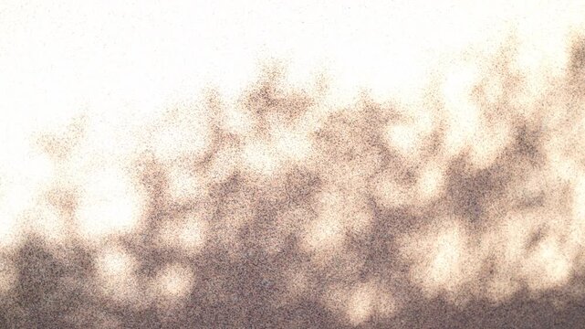 Sand-colored wall and foliage, and leaf shadows moving in the wind background