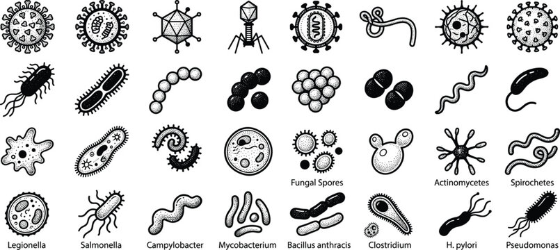 Microscopic organisms and viruses illustrated in vector art, perfect for science and medical projects.