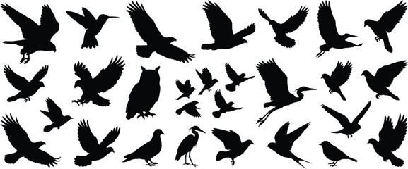 Naklejka premium bird silhouette vector set showing multiple flight poses