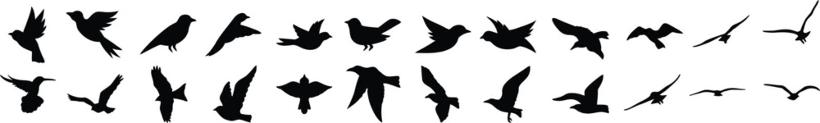 Obraz premium bird flight silhouettes in varied wing positions vector