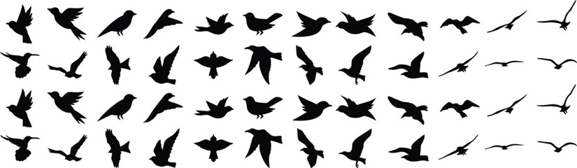 Obraz premium bird flying silhouette collection for design and study