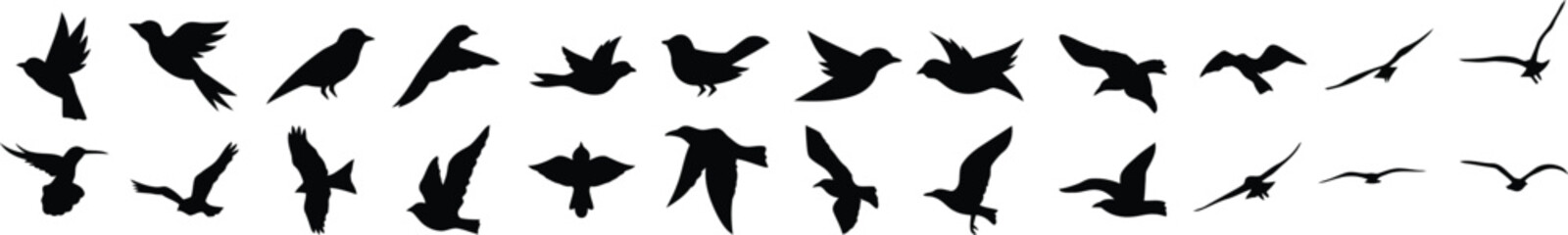 Obraz premium bird wing motion vector icons and clipart silhouettes
