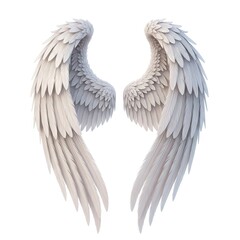 Fototapeta premium Pair of White Angel Wings Isolated on White Background.