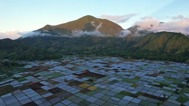 Aerial drone footage of Sembalun UNESCO geopark wide vegetable plantations, at late sunset with low clouds, with sun rays on Anak Dara mountain, in Rinjani volcano area, Lombok island, Indonesia