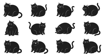 Black cats in various poses. © hujan
