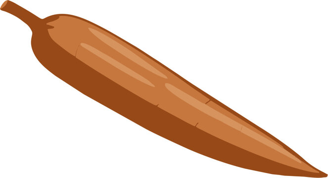 Fresh Brown Cassava Singkong Root Vegetable, Indonesian Traditional Food Ingredient, Flat Vector Illustration