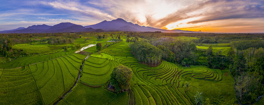Aerial view of the Kemumu rice terraces with lush green fields and distant mountains under a golden sunset sky in Arma Jaya, Bengkulu, Indonesia.