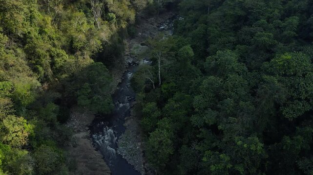 A 4K aerial view from a drone showing a rocky river flowing through a deep forested canyon valley in East Java.