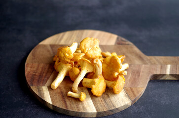 Świeże kurki zebrane w lesie, naturalne jadalne grzyby o charakterystycznym złotożółtym kolorze. Fresh chanterelle mushrooms harvested from the forest, popular seasonal ingredient in traditional. © Justyna