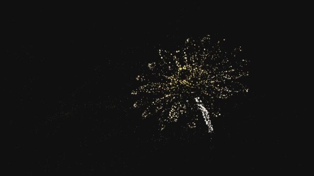 4K abstract daisy flower silhouette formed by gold glowing particles and dust on black background for premium technology nature digital artificial intelligence and luxury wellness concept.