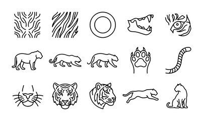 Tiger Icons Set, Wild Cat Vector Graphics, Animal Stripes and Faces, Safari Wildlife Line Art © Mahmudul