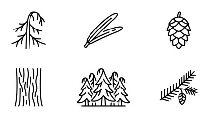 Forest Icons Set: Pine Tree, Fir Branch, Bark Texture, Pinecone, Woodland Elements © Ahsan