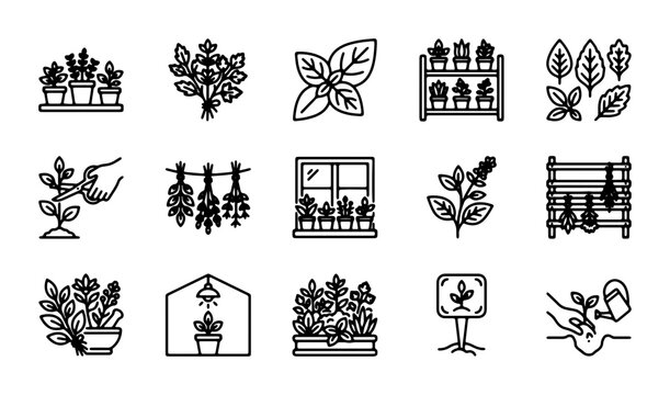 Herbs Garden Icons Set: Fresh Culinary Plants, Growing, Drying, Indoor Cultivation, Vector Graphics