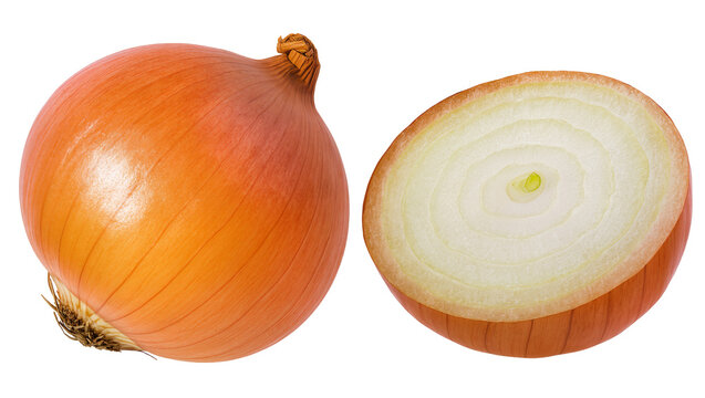 Whole yellow onion and half cut onion showing rings