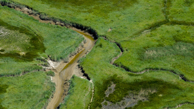 Aerial view of the winding tidal channels and lush green salt marsh vegetation at the Drowned Land of Saeftinghe in Nieuw Namen, Zeeland, Netherlands.