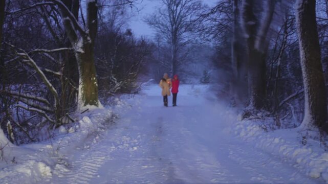 Two sisters go along the snowy winter road in the evening.