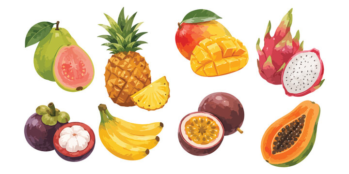 Watercolor tropical fruits and exotic whole and sliced fruits 