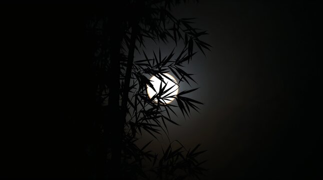 Bamboo silhouette with moonlight glowing through leaves at night