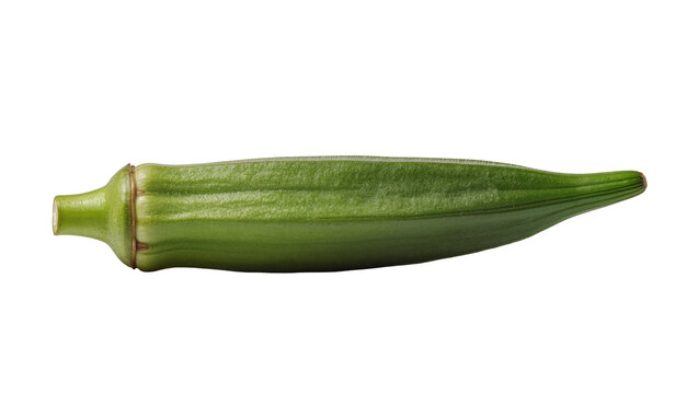 Green okra pod with ridges and pointed tip