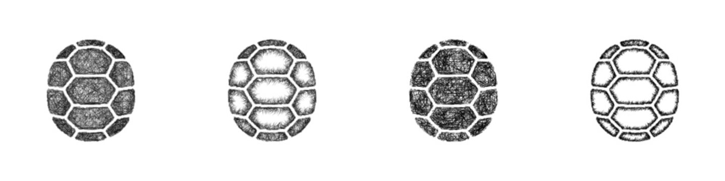 Monochrome sketch turtle shell icon design set