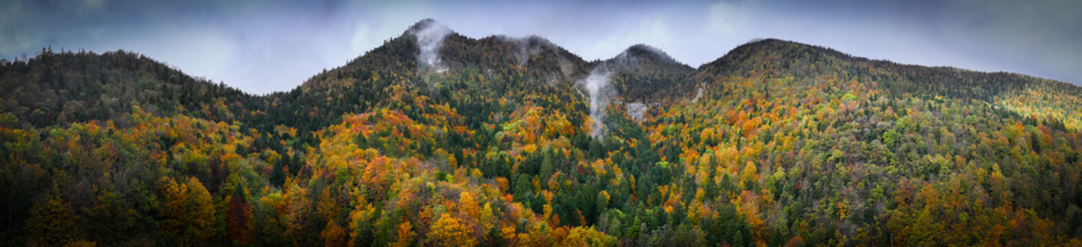 Aerial view of the vibrant autumn forest on the slopes of Route du Creux du Cerf with misty mountain peaks under a cloudy sky in Gex, Auvergne-Rhone-Alpes, France.