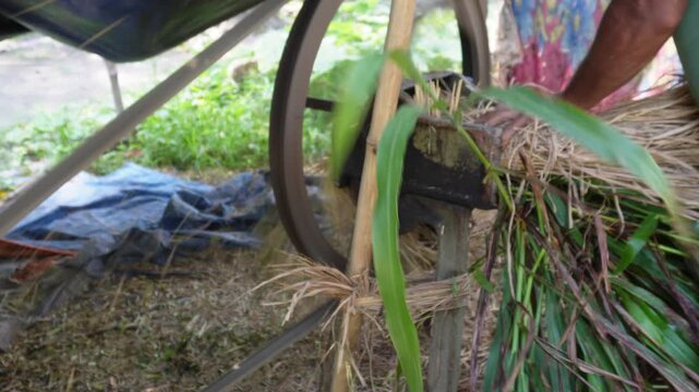 Old rusty chaff cutter machine processing livestock fodder