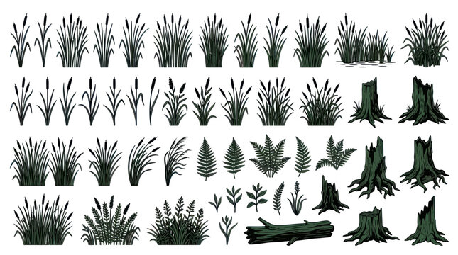 Illustration Set: Reeds, Ferns, Stumps, Log - Nature Elements Collection