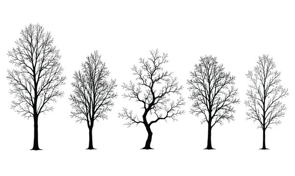 A lonely bare tree silhouette stands isolated against a cold winter landscape with frost and snow