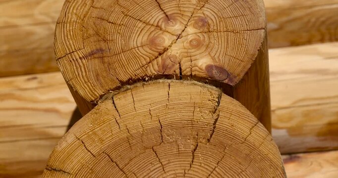 A yellow wooden log cabin with annual rings, the textured log cabin has smooth joints of the grooves of the log structure of the bathhouse
