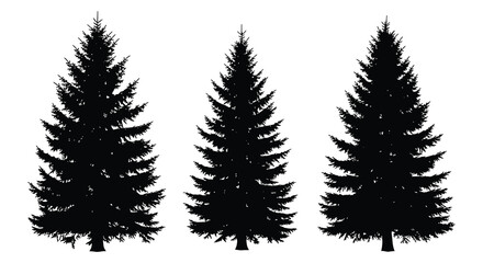 Fir Tree Silhouettes Against White Background Minimalist Forest Scene