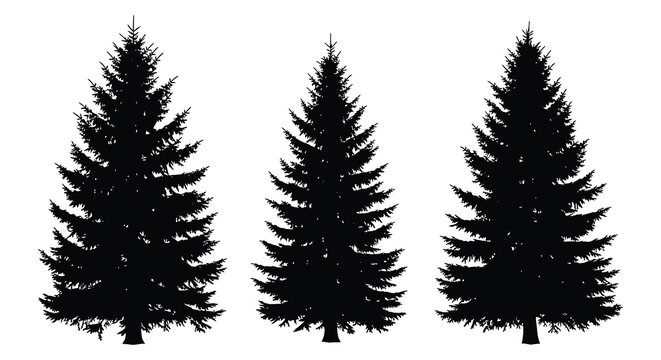 Fir Tree Silhouettes Against White Background Minimalist Forest Scene