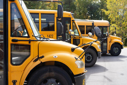 Yellow School Buses Parked In Lot With Stop Sign Safety Warning Symbols And Crosswalk Signage