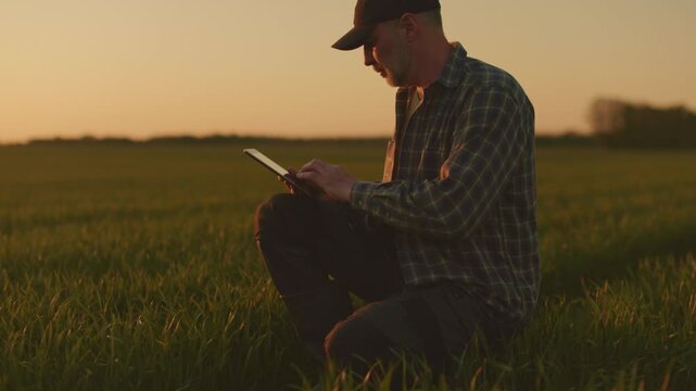 Farmer sitting in green field and touching plants, side view
