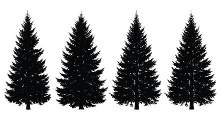 Fototapeta premium Fir Tree Silhouettes On White Background Four Evergreen Conifers