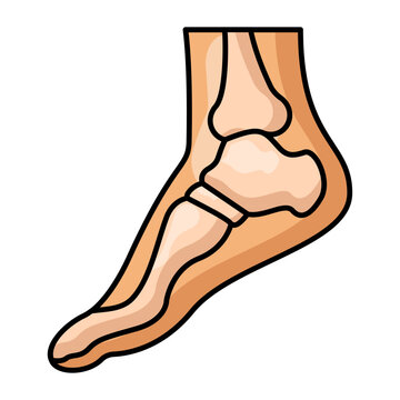 broken ankle bone concept, lower leg fracture vector icon design, orthopedic foot injury stock illustration