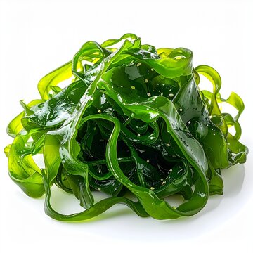 Aonori (Enteromorpha) &bull; Edible