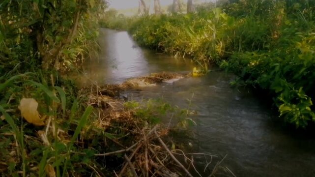 Small river flowing in the village rice field area, a cool natural environment during the day. Exotic and calming view of agricultural land.