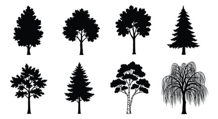 Black Tree Silhouettes Collection Forest Elements On White Background © Safia512