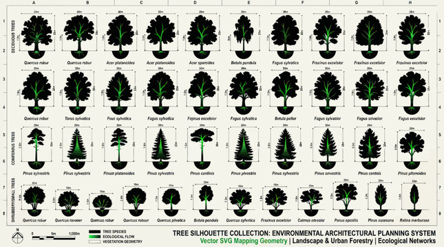 Tree Silhouettes for Environmental Architectural Planning and Landscape Design
