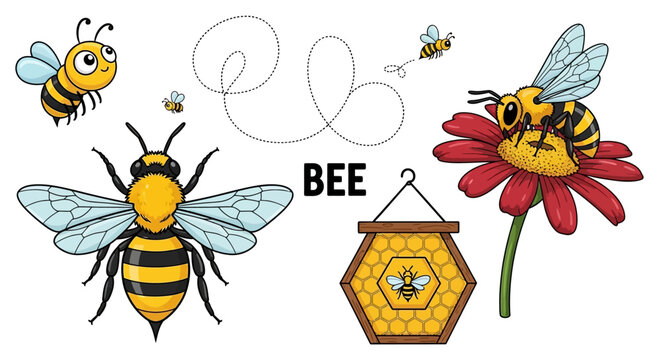 Colorful bees and honeycomb illustrations, bee business concept, insect graphics