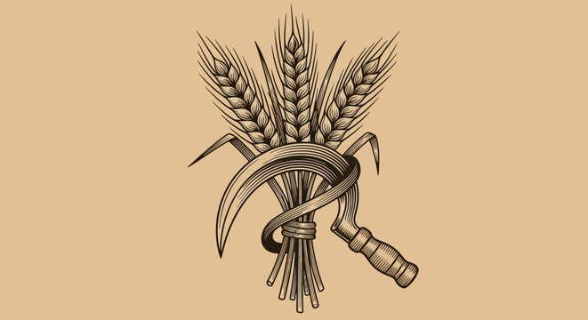 Sickle and wheat bundle, harvest symbol, agriculture icon, farming tool