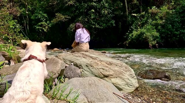 Woman relaxing beside mountain river with white dog in foreground, sitting on riverside boulders near flowing water and forest scenery, suitable for stock footage about travel, nature, lifestyle