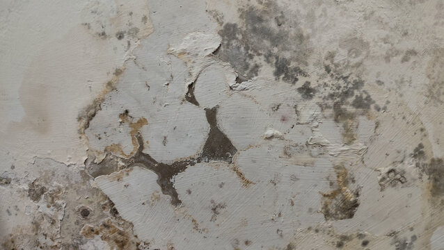 Close up of black mold and damp spots spreading on a white concrete wall surface, showing signs of severe water damage, moisture issues, and toxic fungus growth inside a house.